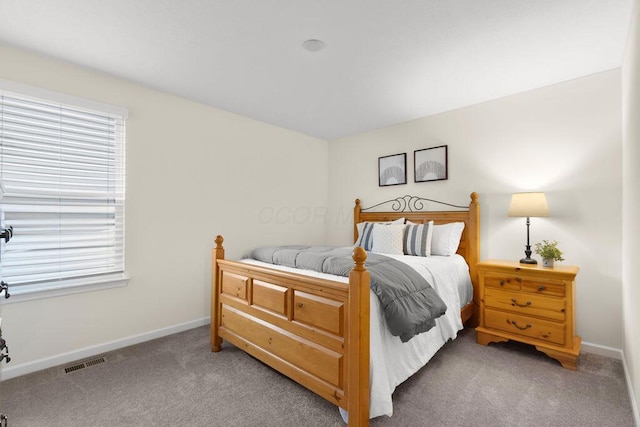 531 White Fawn Run, Delaware, OH 43015 - bedroom featuring light carpet, multiple windows, and baseboards