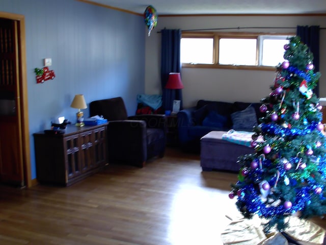 living room featuring wood-type flooring