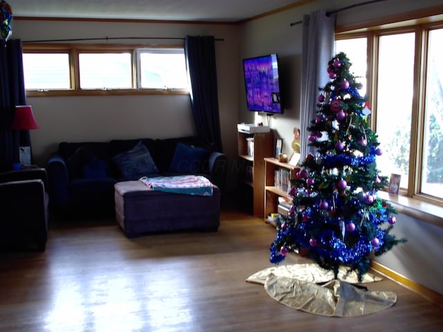 living room featuring ornamental molding and hardwood / wood-style flooring