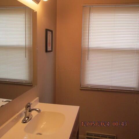 bathroom with vanity and a wealth of natural light