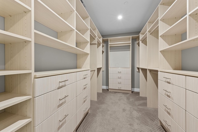 walk in closet featuring light colored carpet