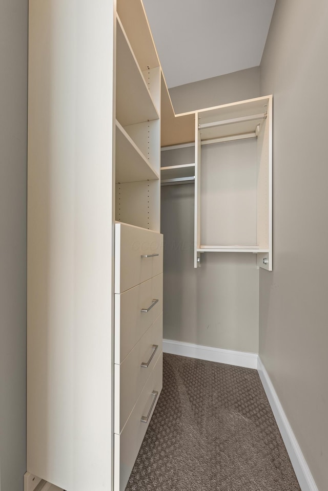 walk in closet featuring carpet