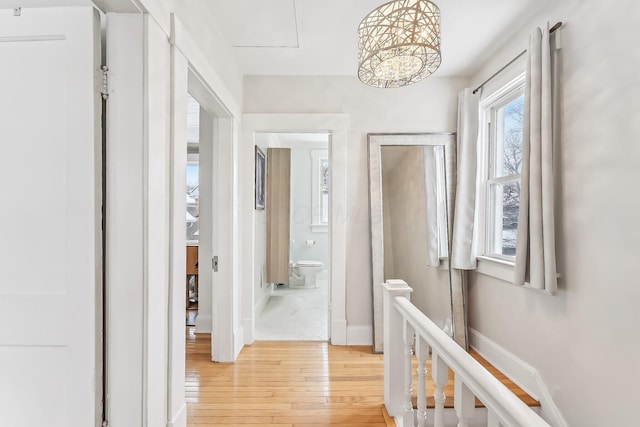 hall with light hardwood / wood-style flooring