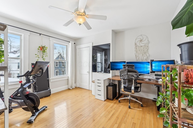 office featuring light hardwood / wood-style floors and ceiling fan