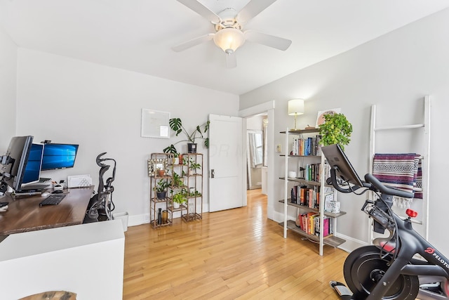 office featuring ceiling fan and light hardwood / wood-style flooring