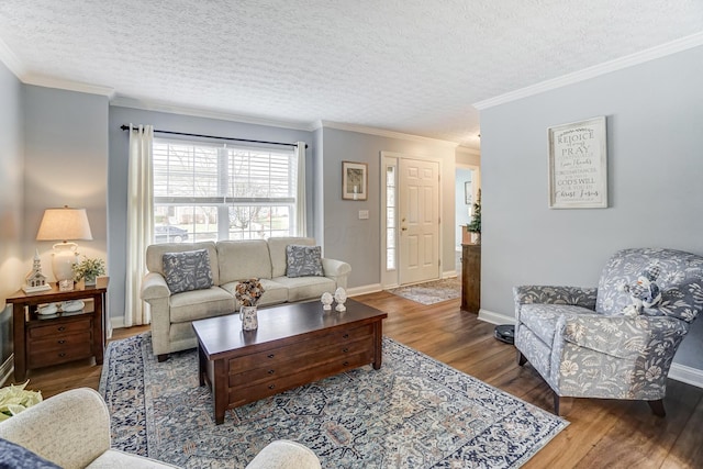 living room featuring hardwood / wood-style floors, a textured ceiling, and crown molding