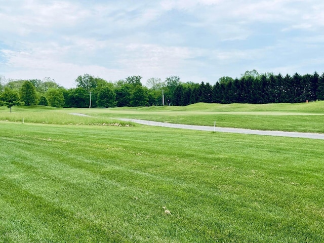 view of community with a lawn