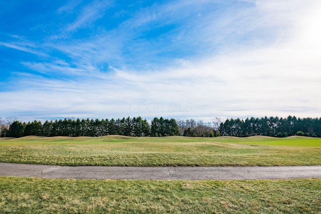 surrounding community with a lawn