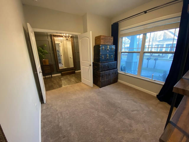 unfurnished bedroom featuring carpet floors