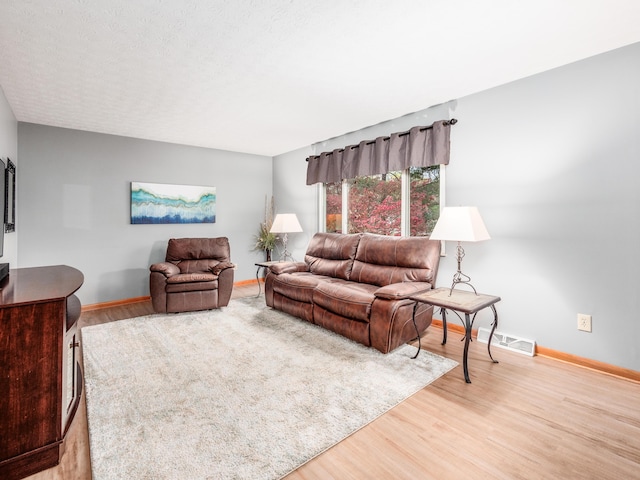 living room with hardwood / wood-style flooring