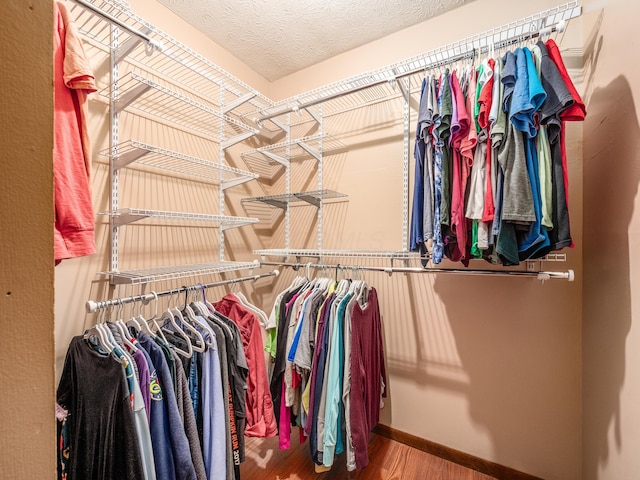 walk in closet with hardwood / wood-style flooring