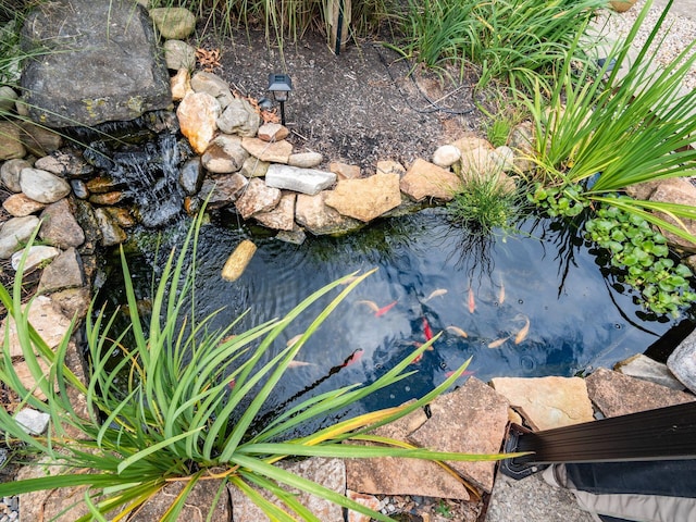 details featuring a garden pond