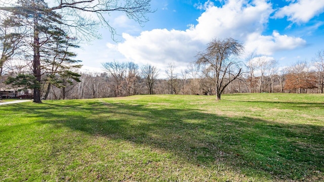 view of yard