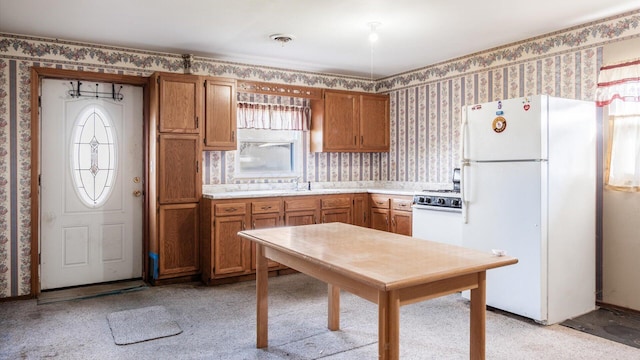 kitchen with white appliances and sink