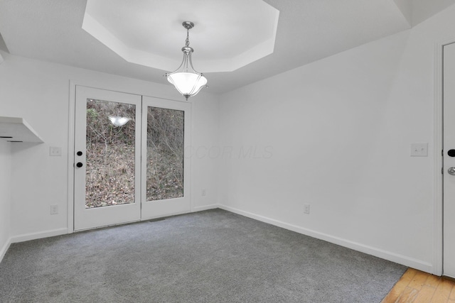 spare room with a raised ceiling and plenty of natural light