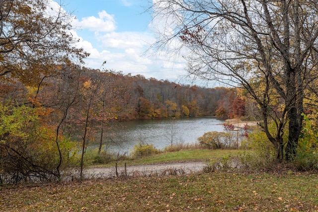 property view of water