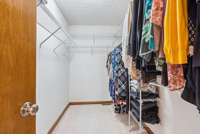 view of walk in closet