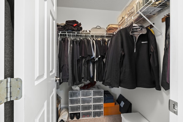 spacious closet featuring carpet flooring