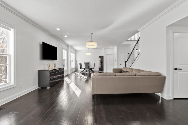 living room featuring crown molding, dark wood-type flooring, and a healthy amount of sunlight