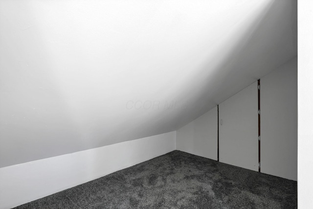 additional living space featuring carpet floors and lofted ceiling