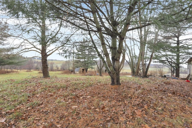 view of yard with a rural view