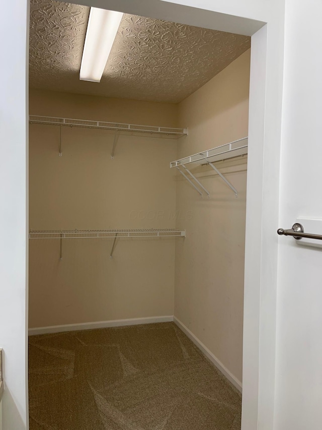 walk in closet with carpet