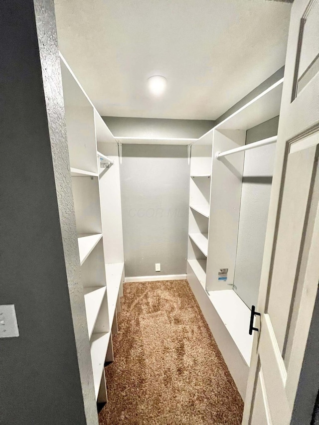 walk in closet with carpet