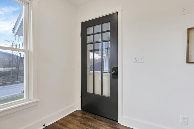 foyer featuring dark hardwood / wood-style flooring and a healthy amount of sunlight