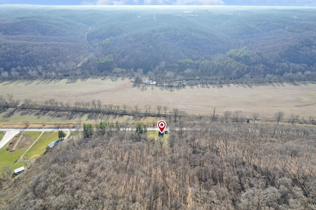 drone / aerial view with a mountain view and a rural view