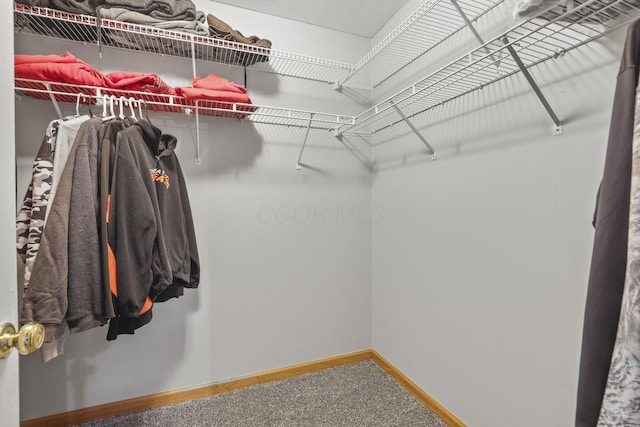 spacious closet with carpet