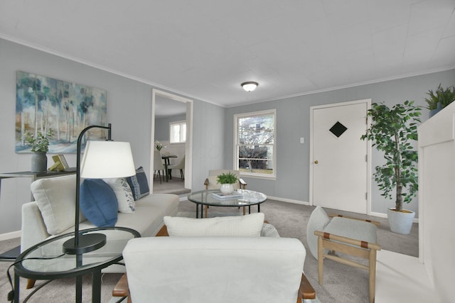 carpeted living room with ornamental molding