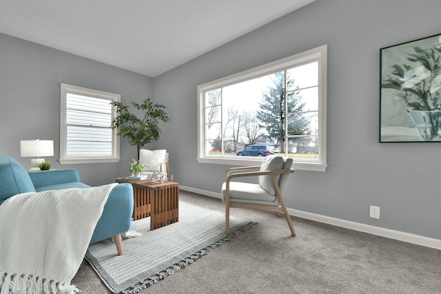 office area with carpet flooring