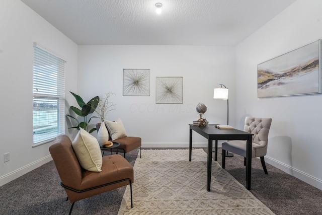 home office featuring carpet floors