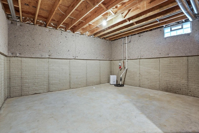 basement with brick wall