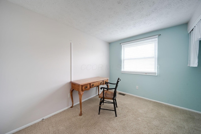 office space featuring carpet and a textured ceiling