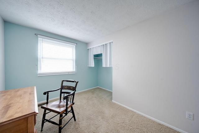 sitting room featuring light colored carpet and a textured ceiling