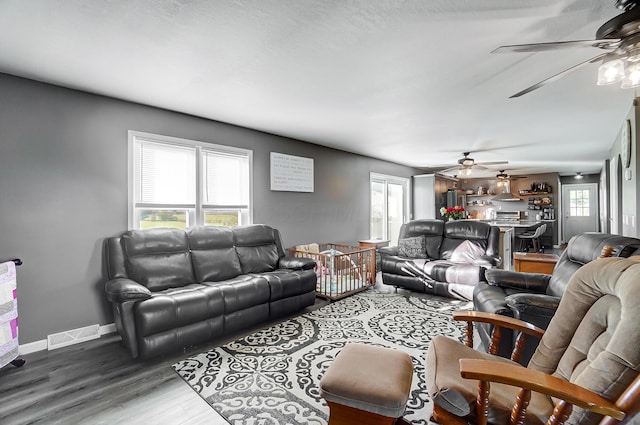 living room featuring hardwood / wood-style floors and a healthy amount of sunlight