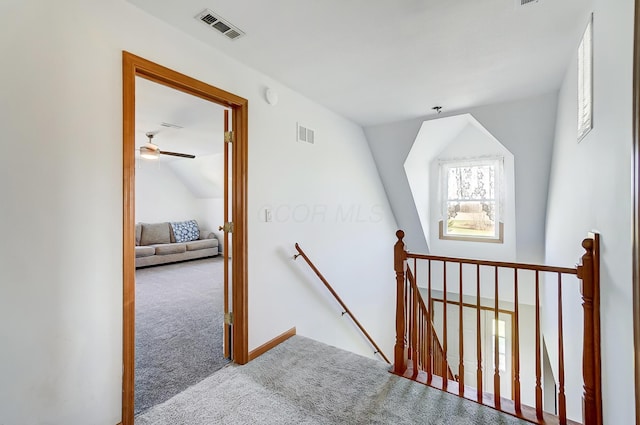 stairs featuring carpet, ceiling fan, and lofted ceiling