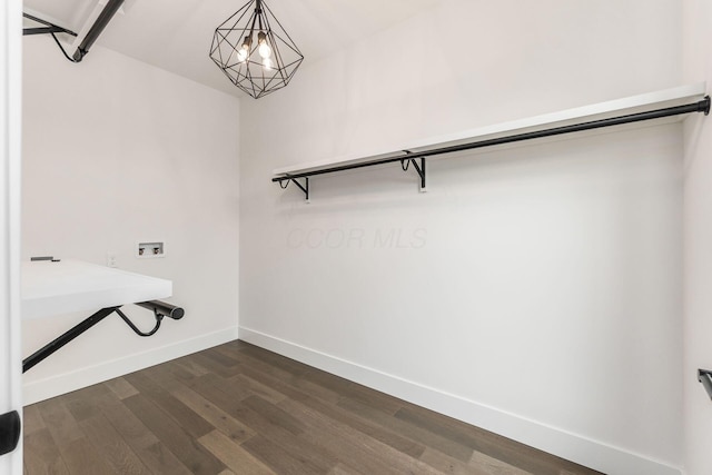 spacious closet featuring dark wood-type flooring