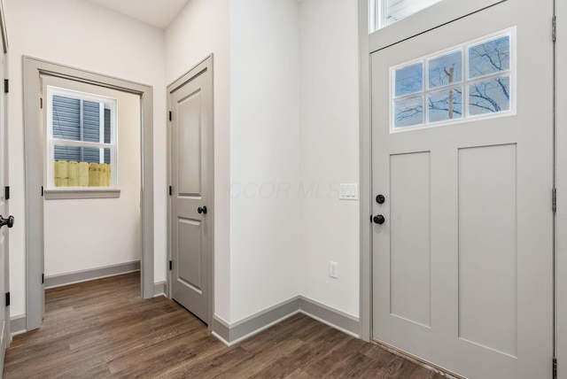 entrance foyer featuring dark hardwood / wood-style floors