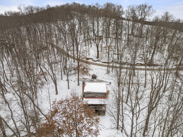 view of snowy aerial view