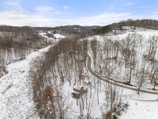 view of snowy aerial view