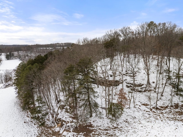 view of snowy landscape