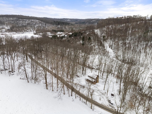 view of snowy aerial view