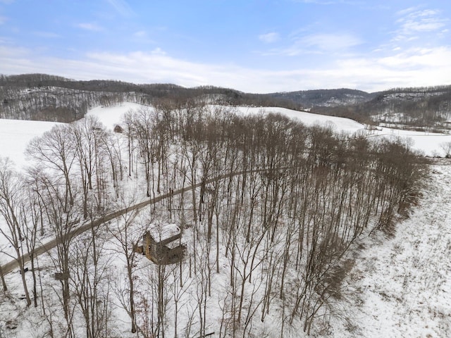 view of snowy aerial view