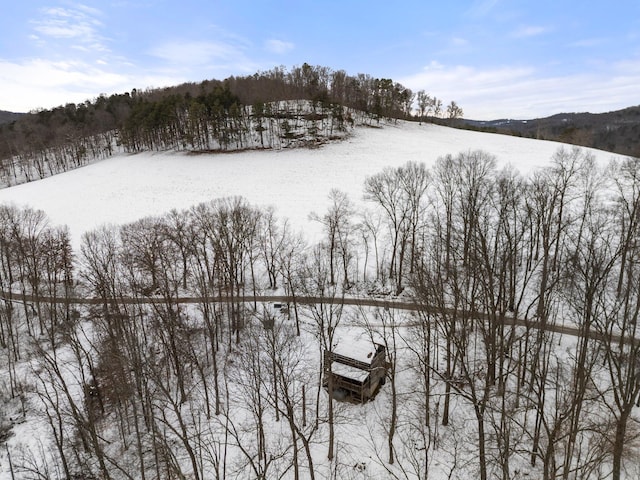 view of snowy aerial view