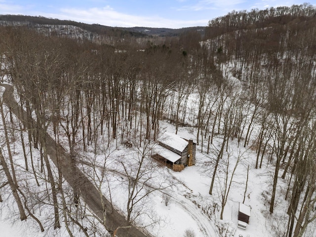 view of snowy aerial view