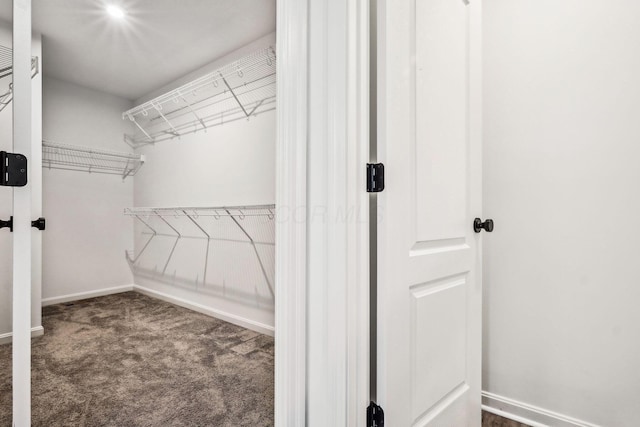 walk in closet featuring dark carpet