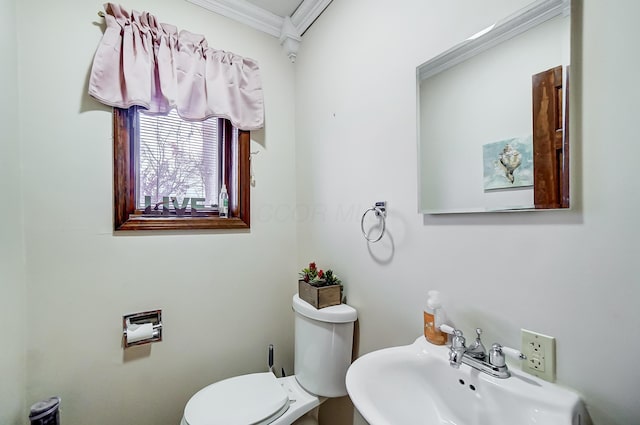 bathroom with crown molding, sink, and toilet