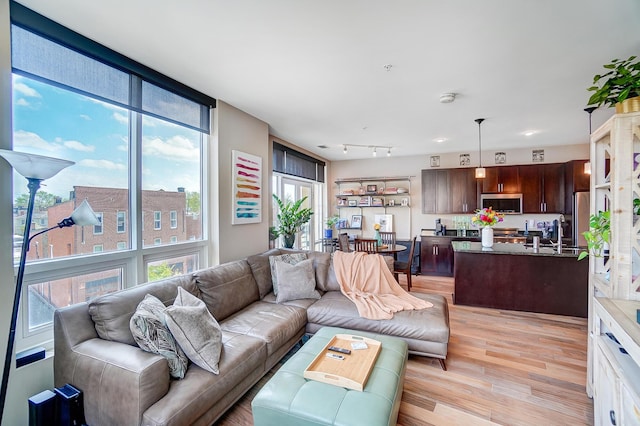 living room featuring sink, a wealth of natural light, and light hardwood / wood-style flooring